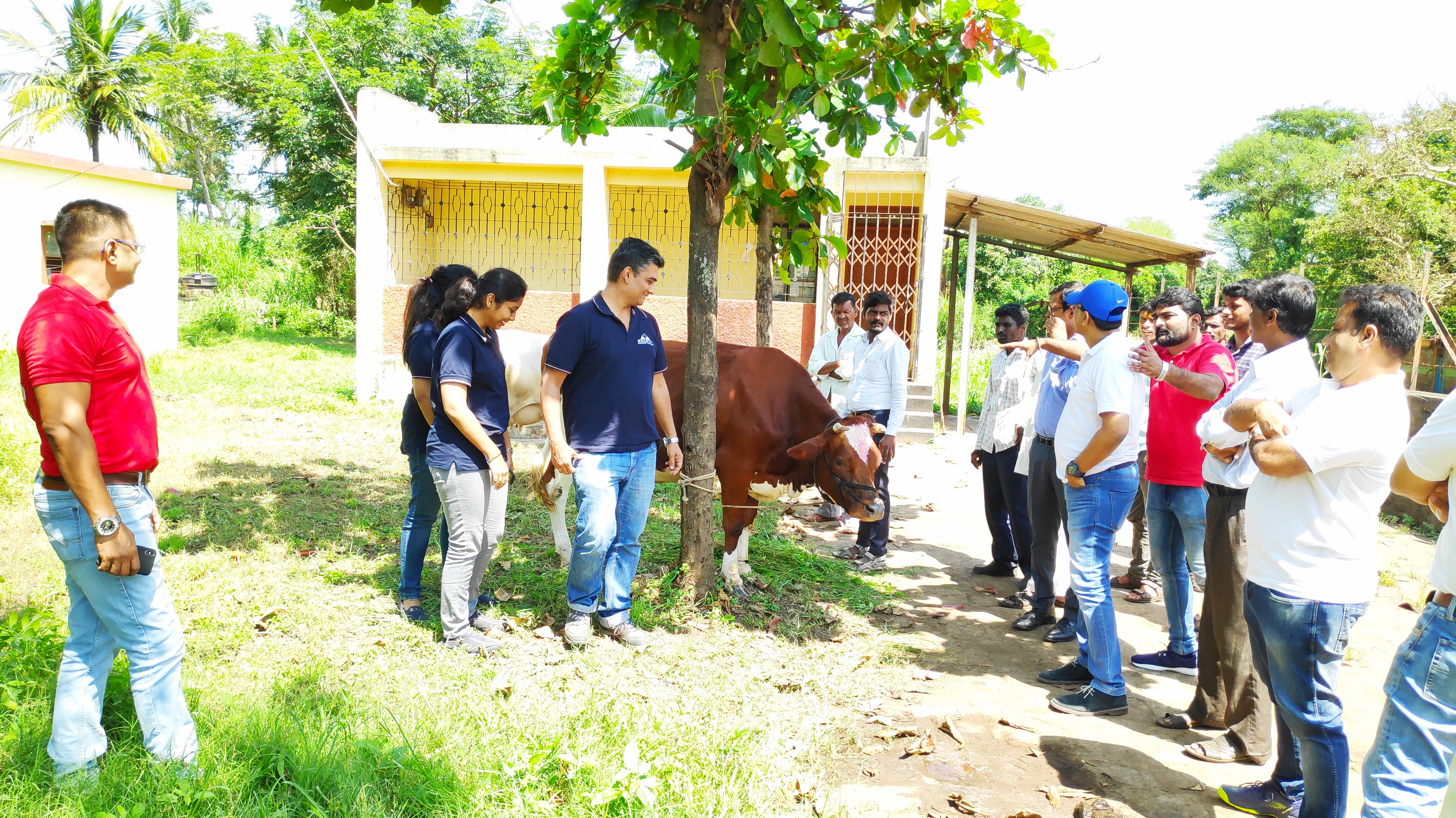 kolhapur-flood-relief